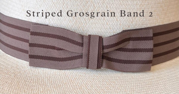 Striped Grosgrain Band 2